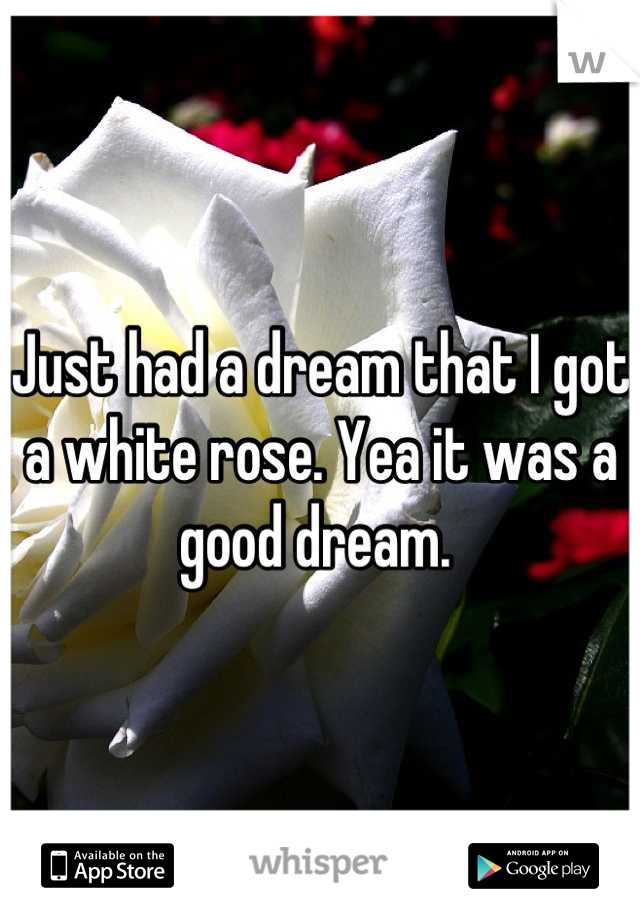 Just had a dream that I got a white rose. Yea it was a good dream. 