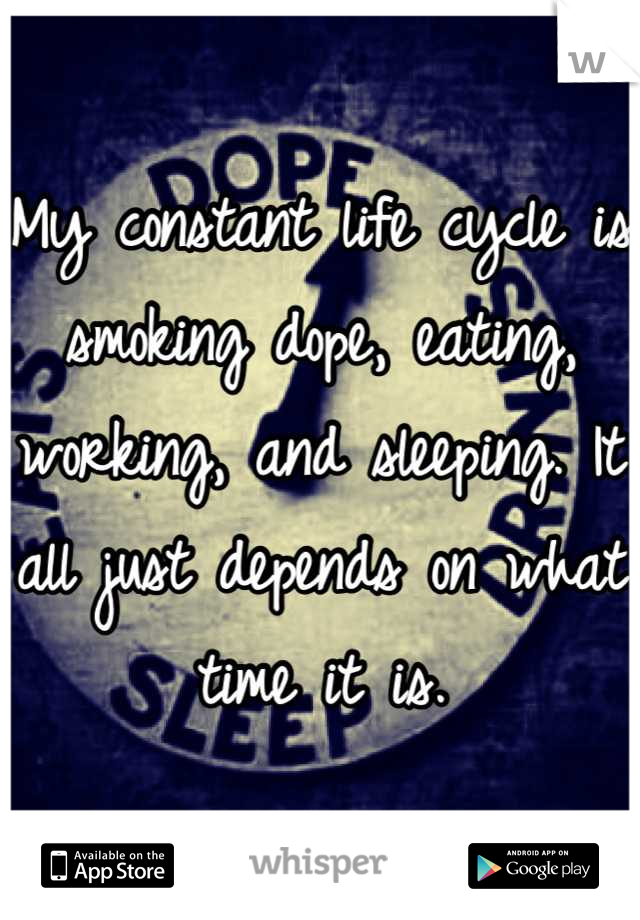 My constant life cycle is smoking dope, eating, working, and sleeping. It all just depends on what time it is.