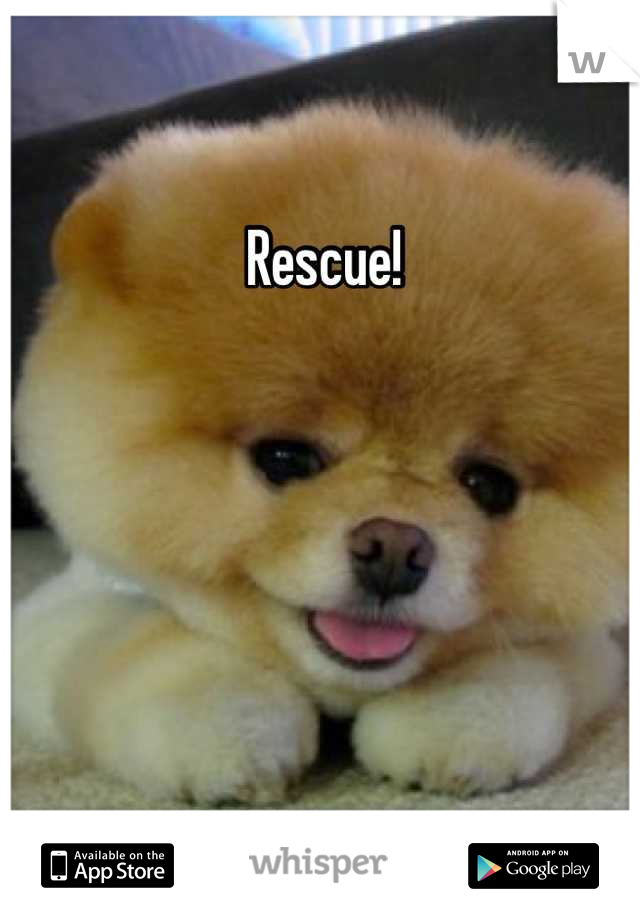 Rescue!