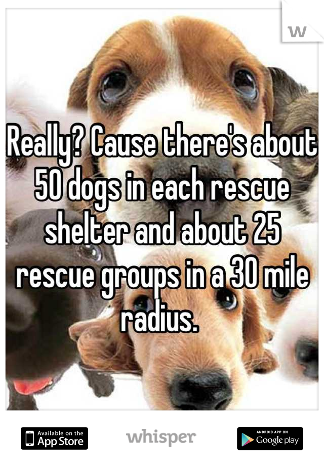 Really? Cause there's about 50 dogs in each rescue shelter and about 25 rescue groups in a 30 mile radius. 