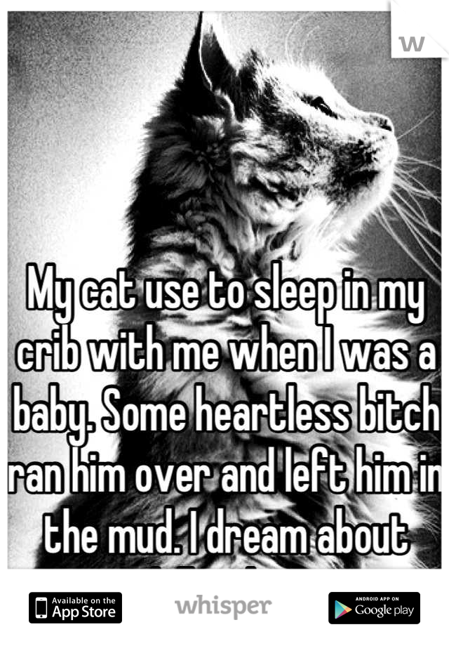 My cat use to sleep in my crib with me when I was a baby. Some heartless bitch ran him over and left him in the mud. I dream about killing her