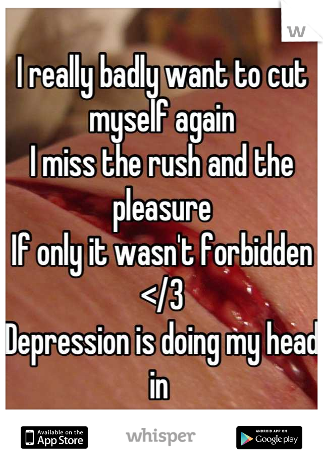 I really badly want to cut myself again 
I miss the rush and the pleasure 
If only it wasn't forbidden </3
Depression is doing my head in 