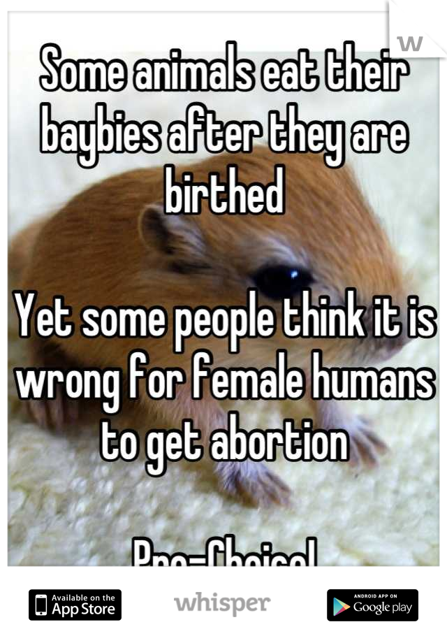 Some animals eat their baybies after they are birthed

Yet some people think it is wrong for female humans to get abortion

Pro-Choice!