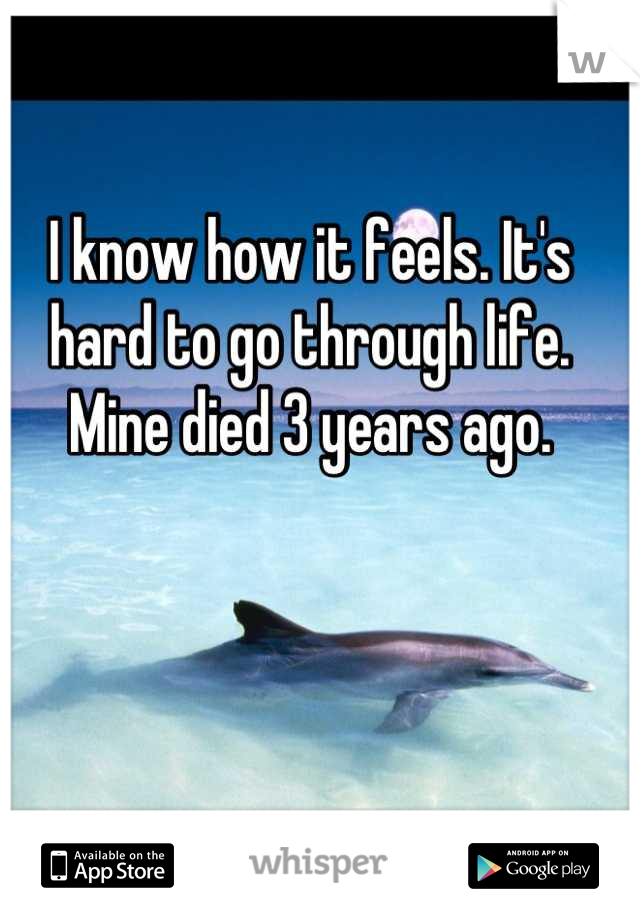 I know how it feels. It's hard to go through life. Mine died 3 years ago.