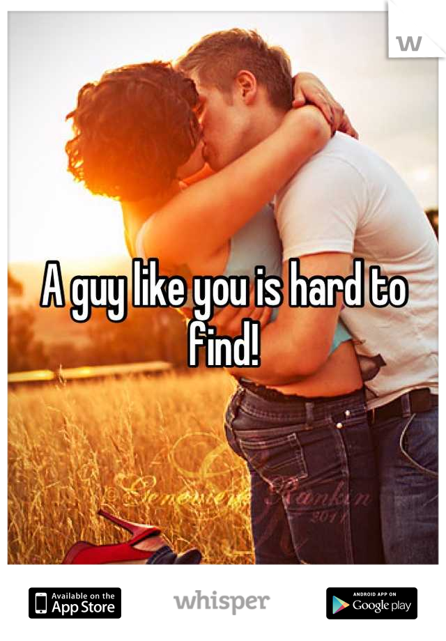 A guy like you is hard to find!