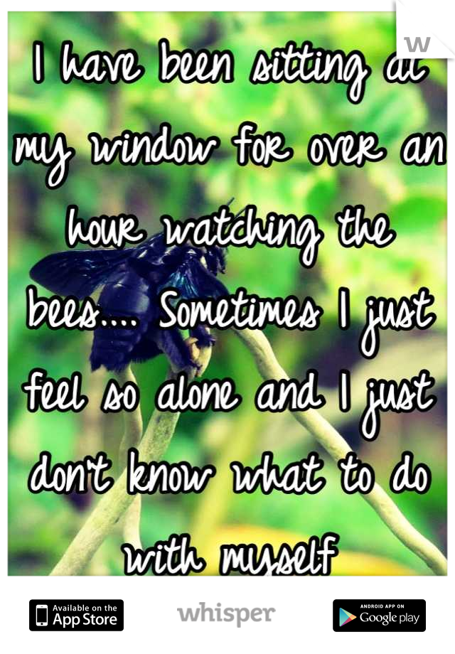 I have been sitting at my window for over an hour watching the bees.... Sometimes I just feel so alone and I just don't know what to do with myself