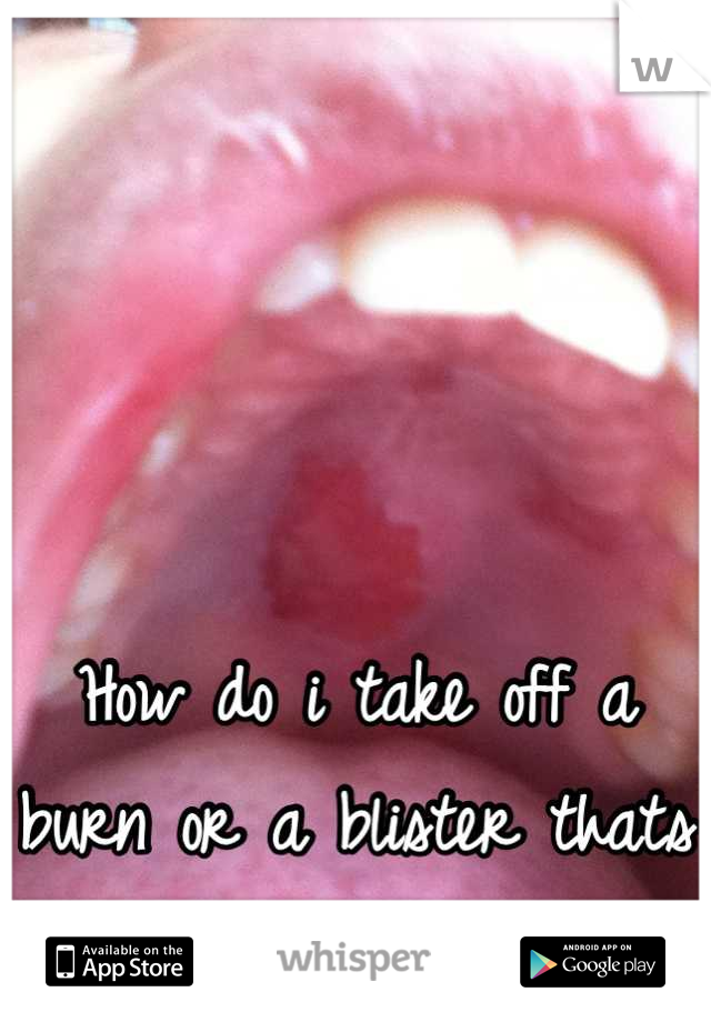 




How do i take off a burn or a blister thats  in my mouth 