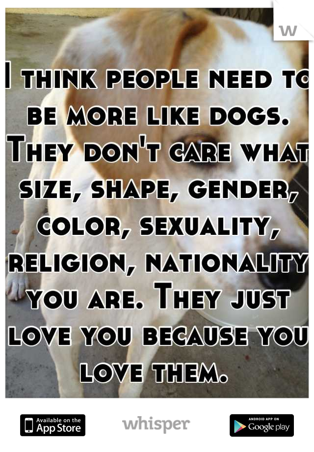 I think people need to be more like dogs. They don't care what size, shape, gender, color, sexuality, religion, nationality you are. They just love you because you love them. 