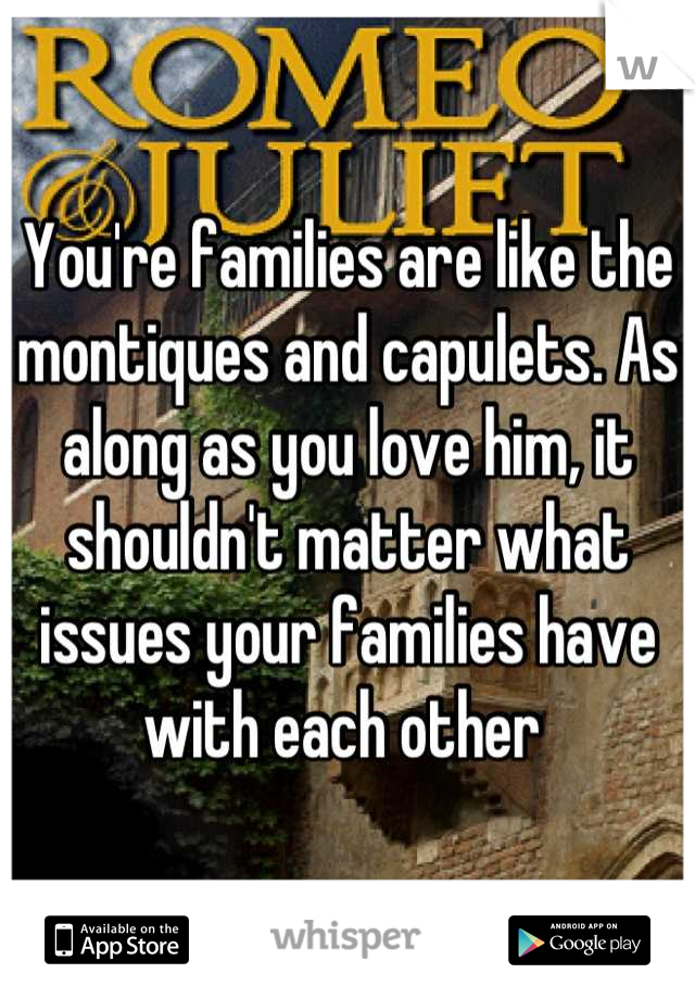 You're families are like the montiques and capulets. As along as you love him, it shouldn't matter what issues your families have with each other 