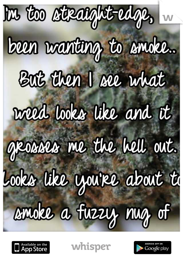 I'm too straight-edge, I've been wanting to smoke..
But then I see what weed looks like and it grosses me the hell out.
Looks like you're about to smoke a fuzzy nug of shit!