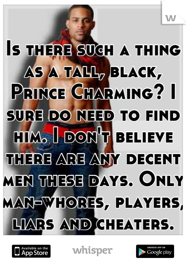 Is there such a thing as a tall, black, Prince Charming? I sure do need to find him. I don't believe there are any decent men these days. Only man-whores, players, liars and cheaters. Prove me wrong! 