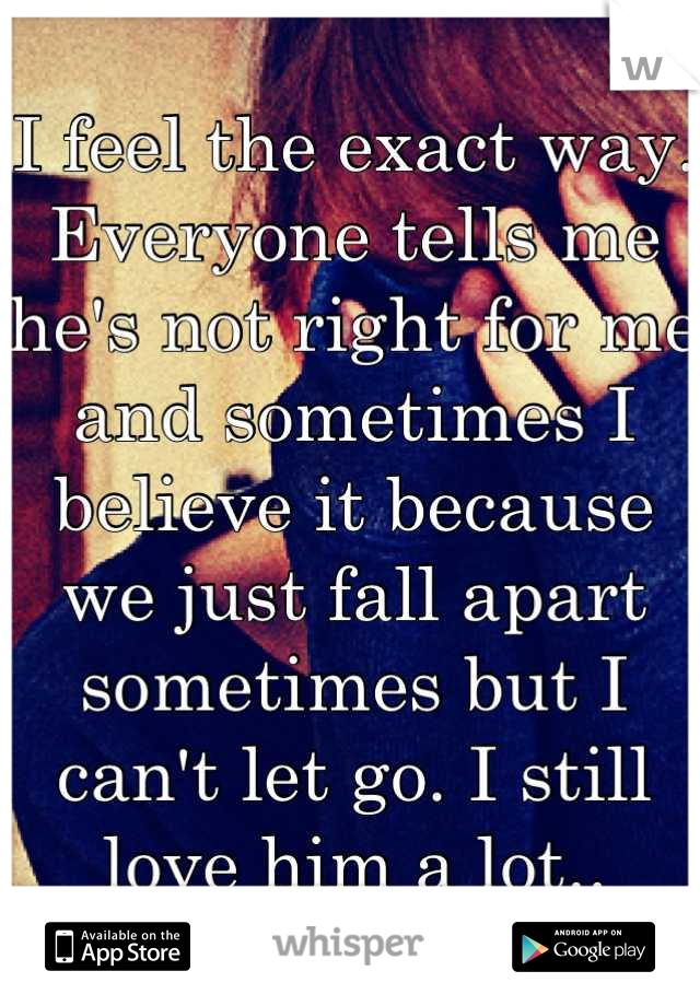 I feel the exact way.
Everyone tells me he's not right for me and sometimes I believe it because we just fall apart sometimes but I can't let go. I still love him a lot..