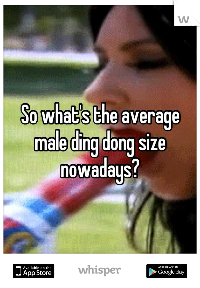 So what's the average male ding dong size nowadays?
