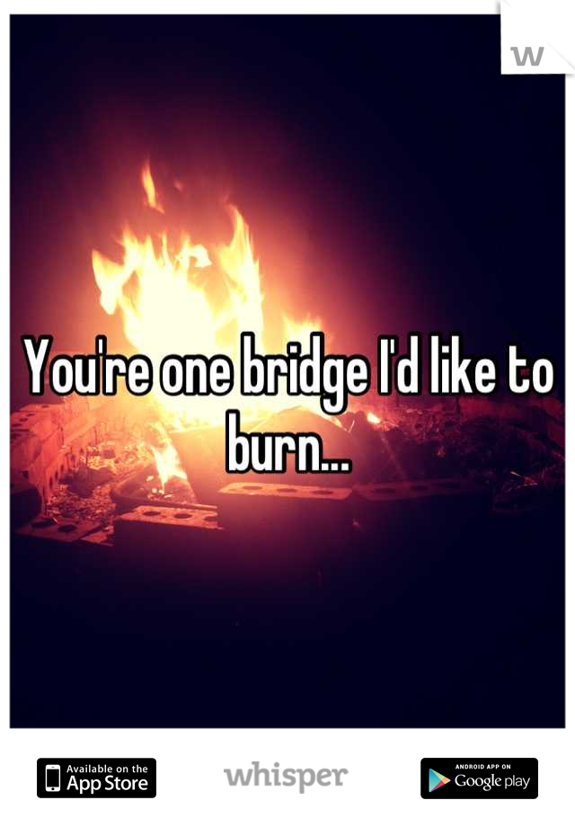 You're one bridge I'd like to burn...