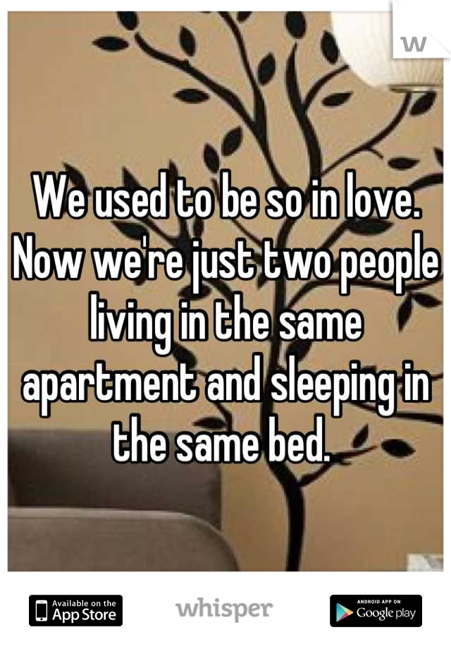 We used to be so in love. Now we're just two people living in the same apartment and sleeping in the same bed. 