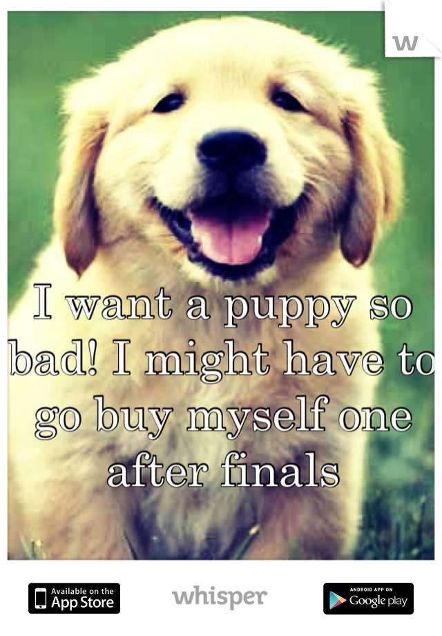 I want a puppy so bad! I might have to go buy myself one after finals