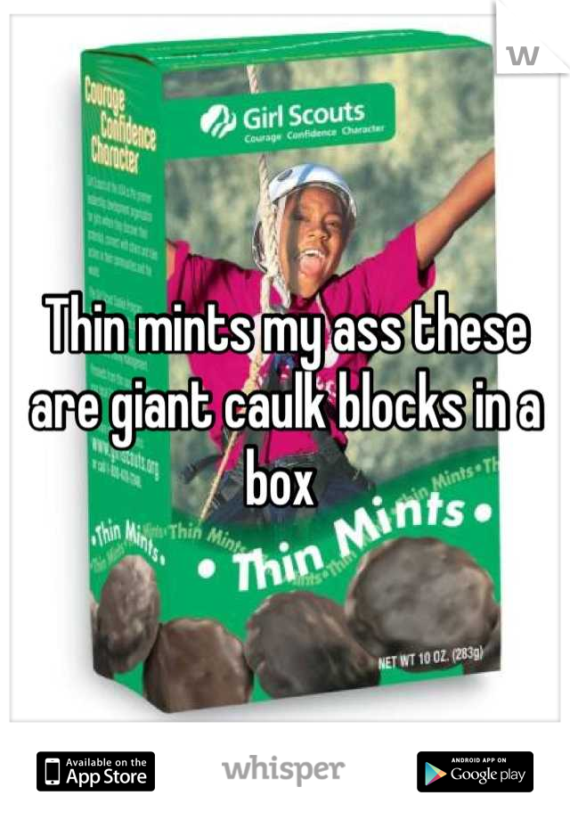 Thin mints my ass these are giant caulk blocks in a box 