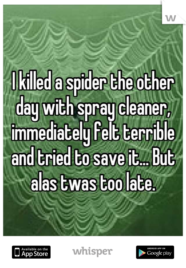 I killed a spider the other day with spray cleaner, immediately felt terrible and tried to save it... But alas twas too late.