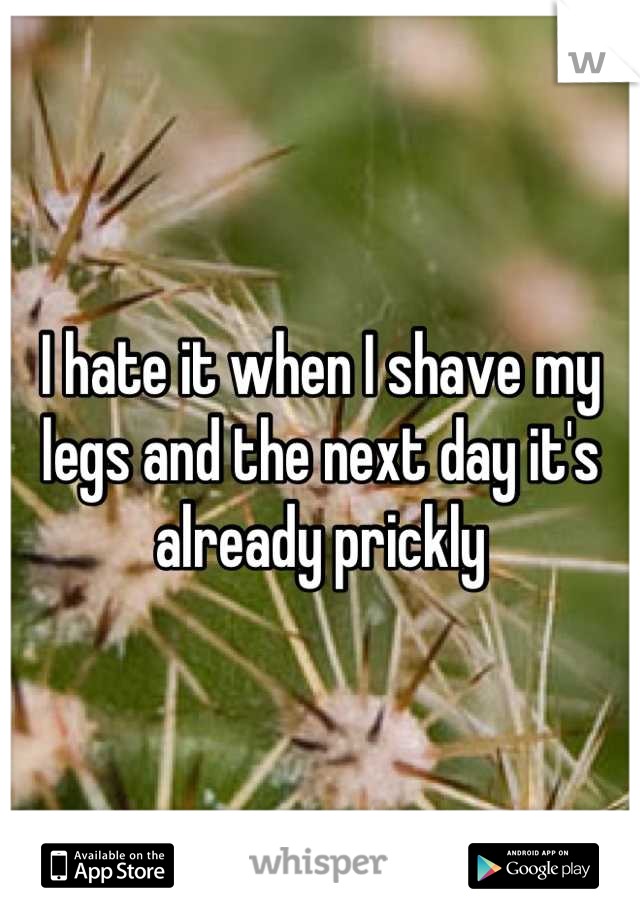 I hate it when I shave my legs and the next day it's already prickly