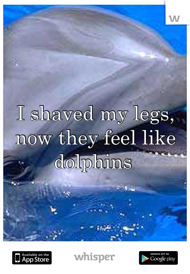 I shaved my legs, now they feel like dolphins 