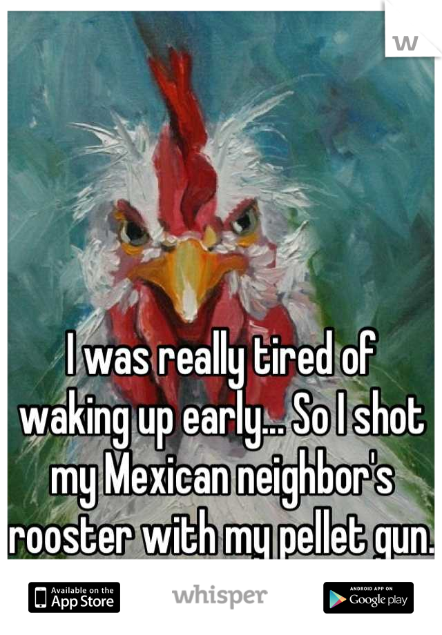 I was really tired of waking up early... So I shot my Mexican neighbor's rooster with my pellet gun.