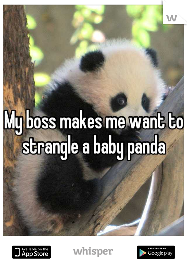 My boss makes me want to strangle a baby panda