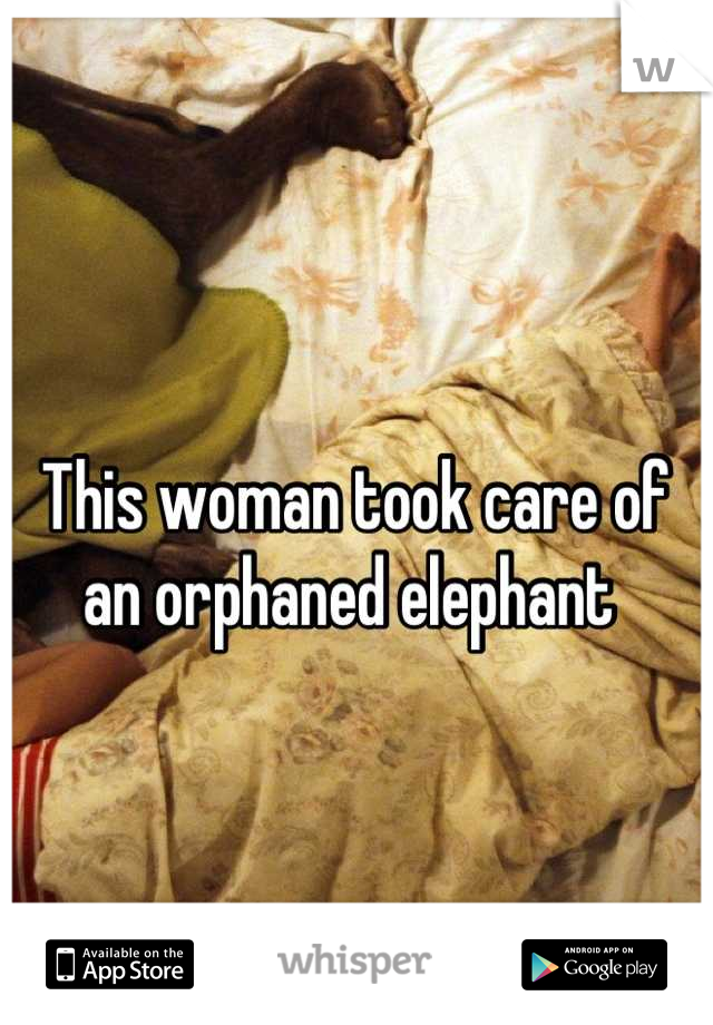 This woman took care of an orphaned elephant 