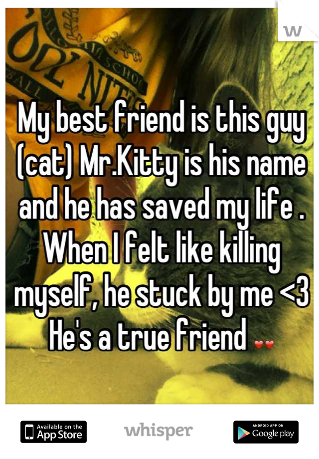 My best friend is this guy (cat) Mr.Kitty is his name and he has saved my life . When I felt like killing myself, he stuck by me <3
He's a true friend ❤❤