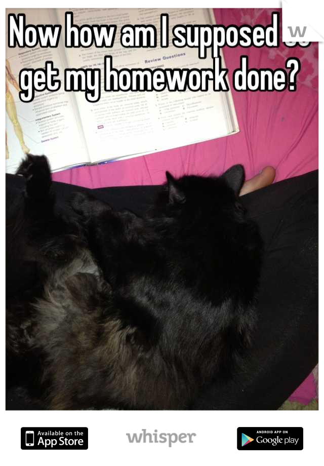 Now how am I supposed to get my homework done?