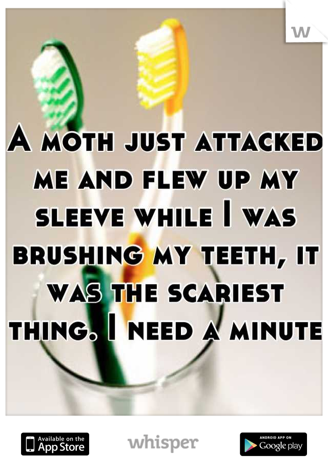 A moth just attacked me and flew up my sleeve while I was brushing my teeth, it was the scariest thing. I need a minute