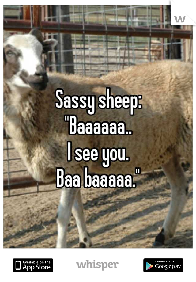 Sassy sheep:
"Baaaaaa..
I see you.
Baa baaaaa."