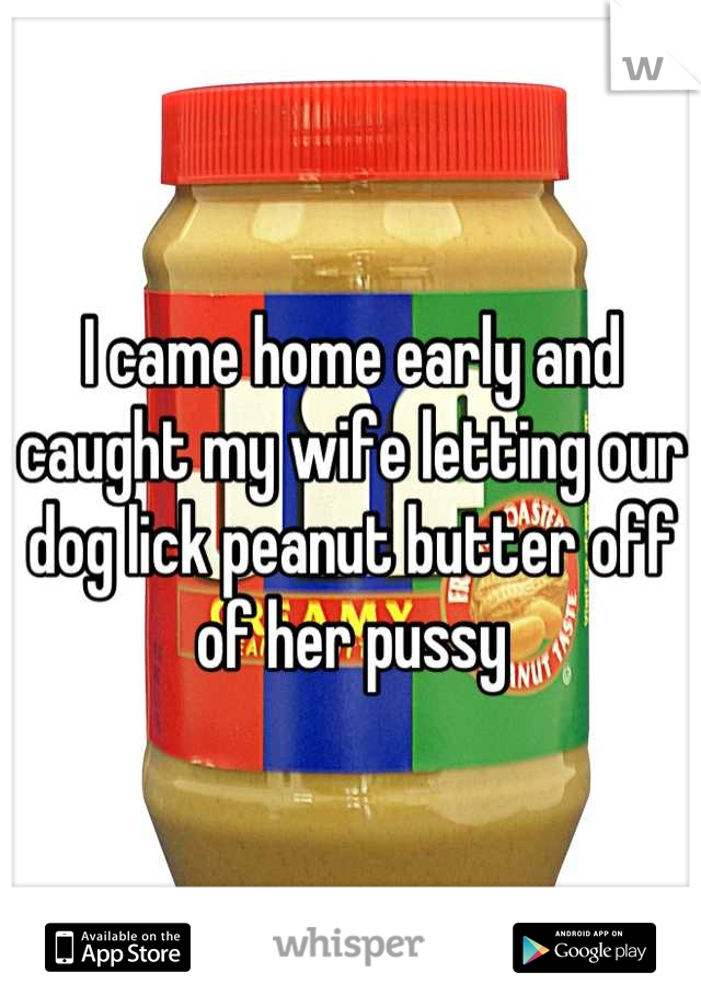 My wife lets the dog lick her pussy I Came Home Early And Caught My Wife Letting Our Dog Lick Peanut Butter Off Of