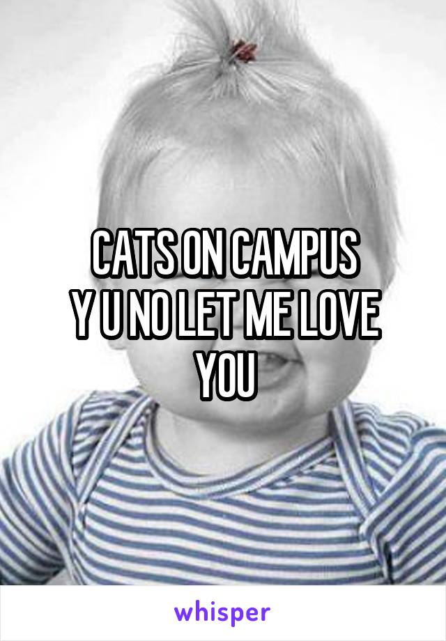 CATS ON CAMPUS
Y U NO LET ME LOVE YOU