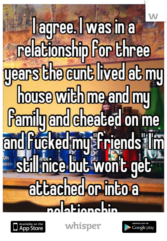 I agree. I was in a relationship for three years the cunt lived at my house with me and my family and cheated on me and fucked my "friends" I'm still nice but won't get attached or into a relationship.