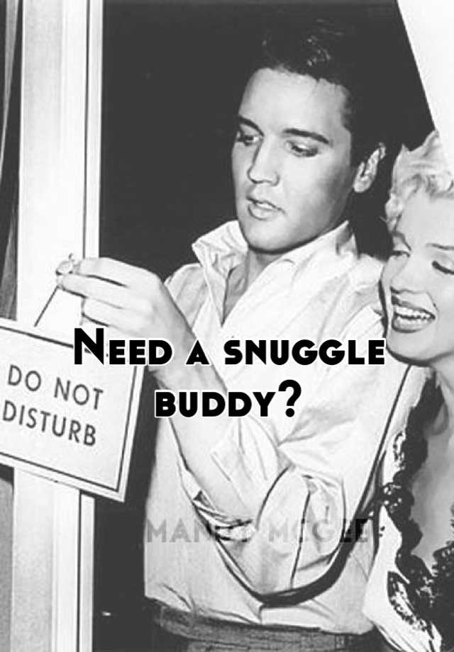 need-a-snuggle-buddy