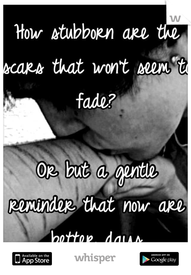 How stubborn are the scars that won't seem to fade?

Or but a gentle reminder that now are better days