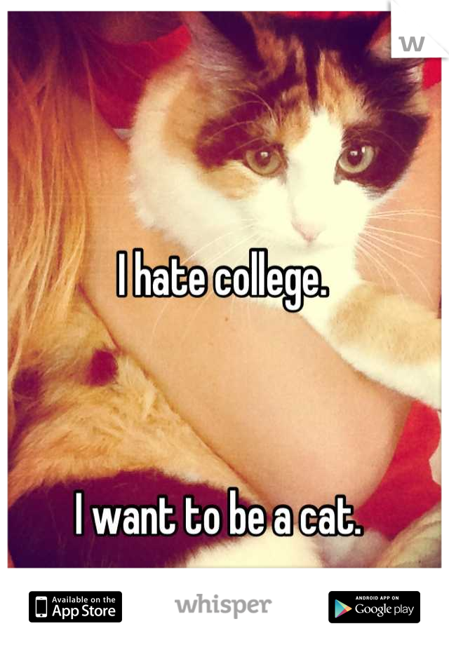 I hate college. 



I want to be a cat. 