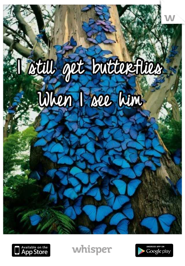 I still get butterflies
When I see him