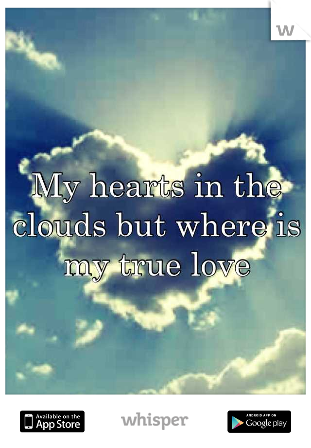 My hearts in the clouds but where is my true love