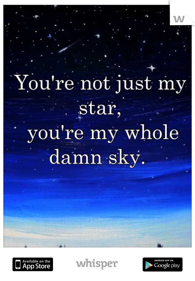 You're not just my star,
 you're my whole damn sky. 