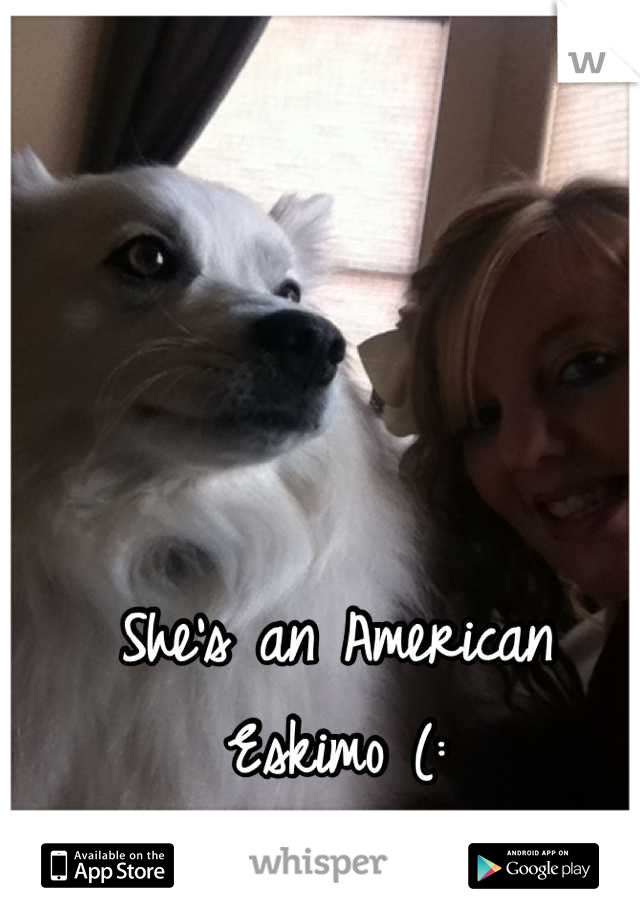 She's an American Eskimo (: