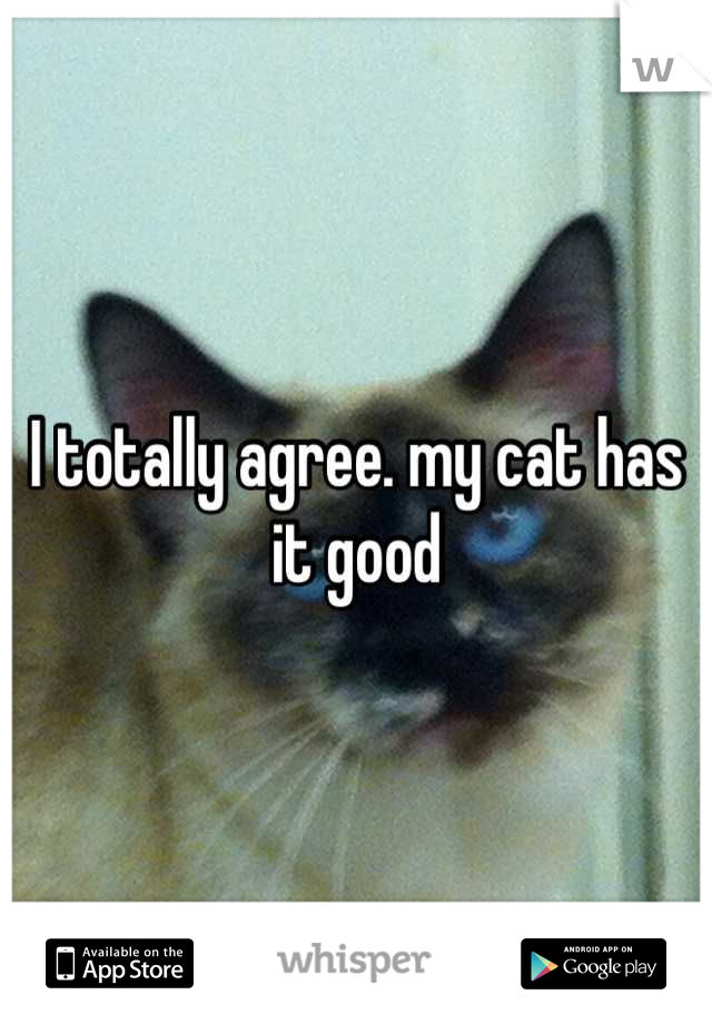 I totally agree. my cat has it good