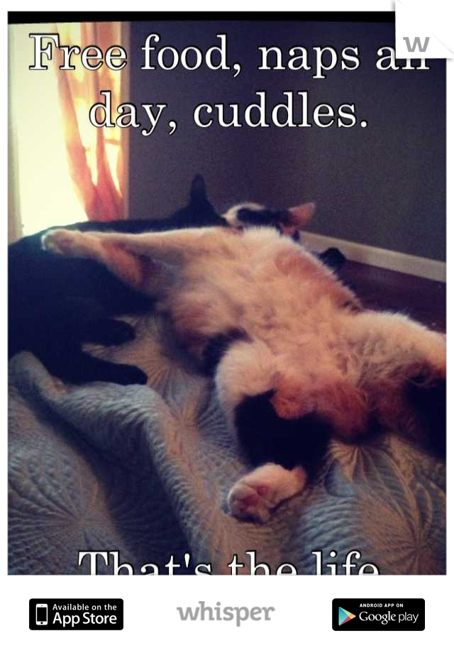 Free food, naps all day, cuddles. 







That's the life