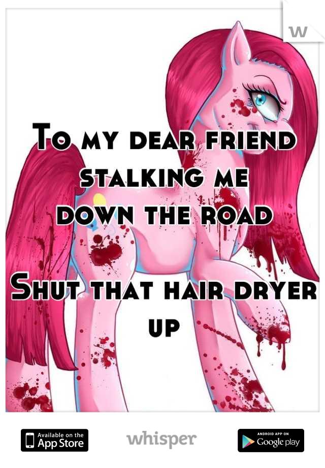 To my dear friend stalking me
down the road

Shut that hair dryer up