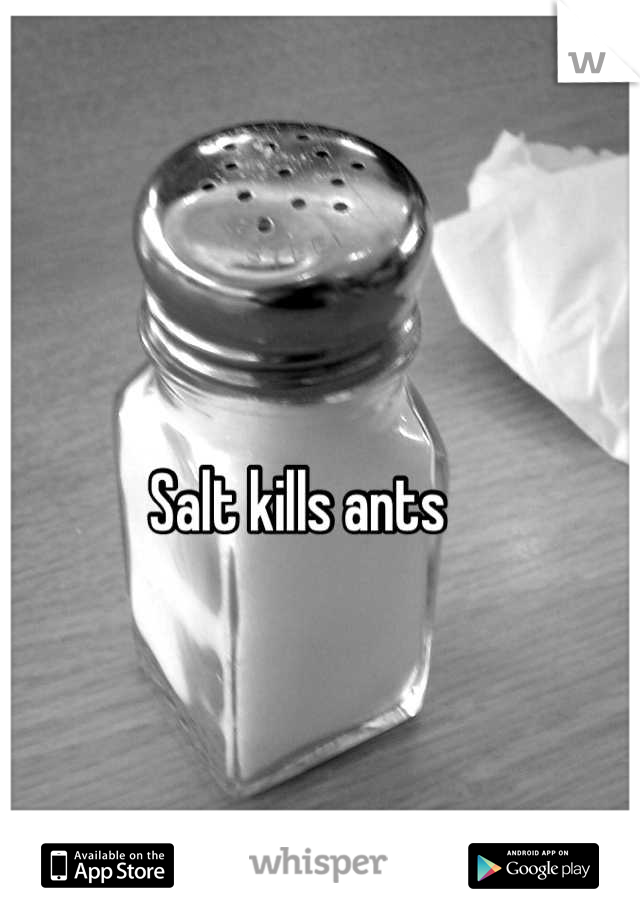 Salt kills ants