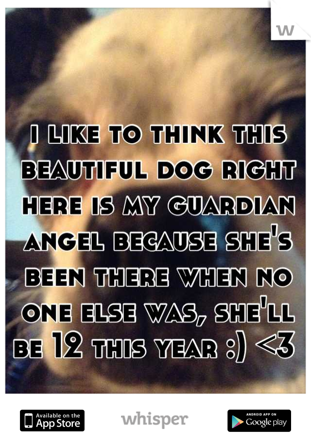 i like to think this beautiful dog right here is my guardian angel because she's been there when no one else was, she'll be 12 this year :) <3 