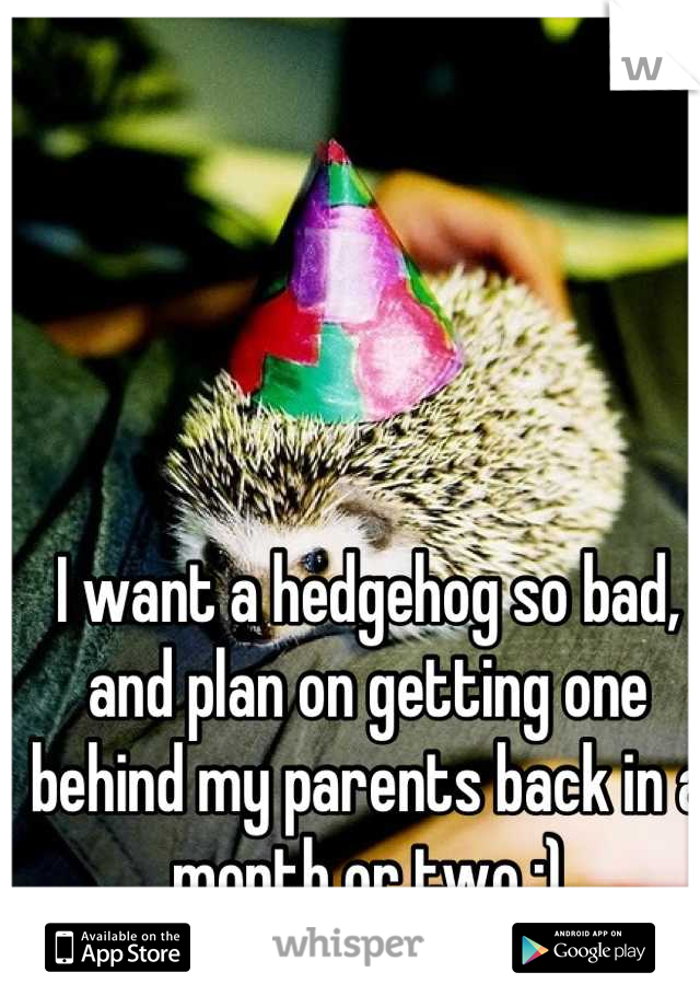 I want a hedgehog so bad, and plan on getting one behind my parents back in a month or two :)