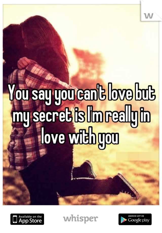 You say you can't love but my secret is I'm really in love with you 