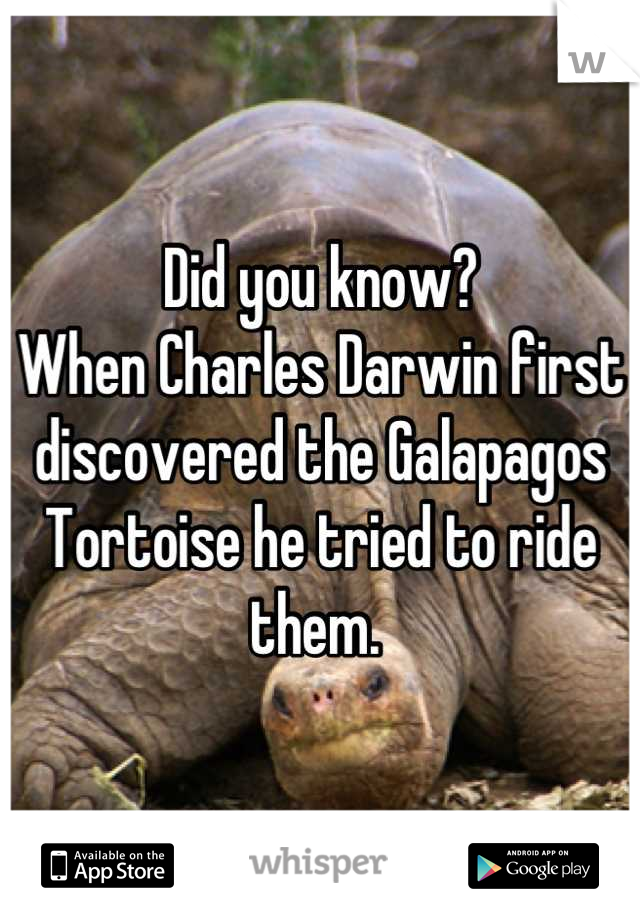 Did you know?
When Charles Darwin first discovered the Galapagos Tortoise he tried to ride them. 