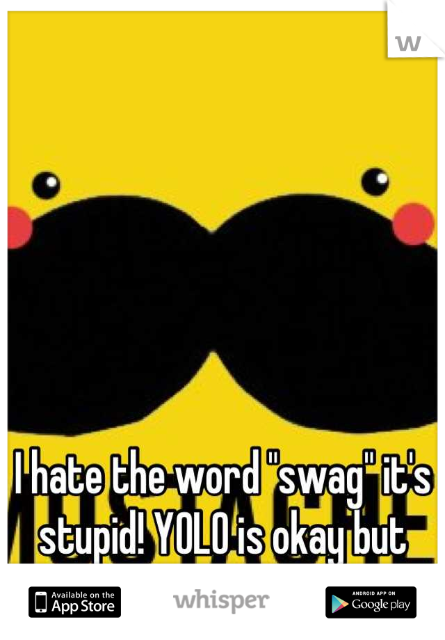 I hate the word "swag" it's stupid! YOLO is okay but swag I don't think so